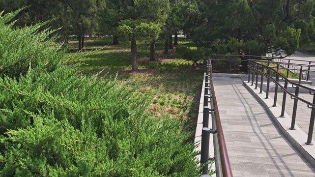 Lush green shrubs with a curved railing leading down a pathway in a serene park setting, showcasing the natural beauty of the landscape and surrounding trees