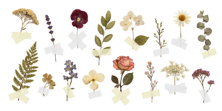 Vector trendy flowers with adhesive tape for collage. Modern texture for design art. y2k vintage collage set.