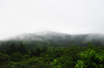 Fototapeta premium This photo showcases the green mountain slopes of the Kuril Islands enveloped in a soft fog on a summer day