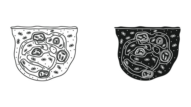 Detailed illustration of cell structures with organelles in black and white