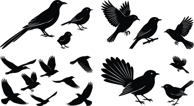 Large collection of black bird silhouettes in various flight and perched positions including crows sparrows and songbirds isolated on white
