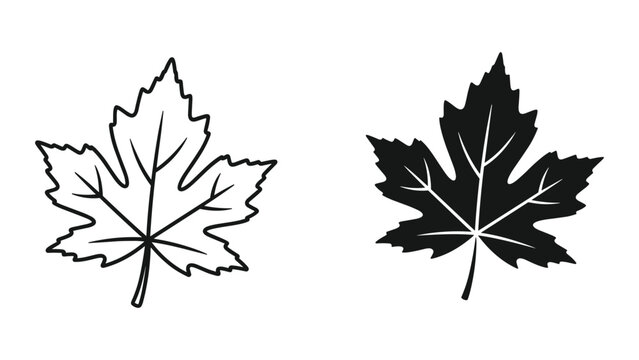 Vector illustration of maple leaf icons in black and white on white background