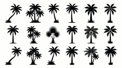 Fototapeta premium Collection of black palm tree silhouettes for tropical design projects