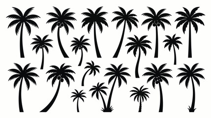 Fototapeta premium Collection of black palm tree silhouettes for tropical design projects