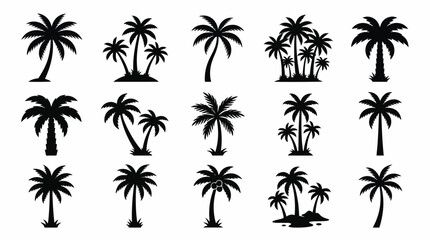 Fototapeta premium Collection of black palm tree silhouettes for tropical design projects