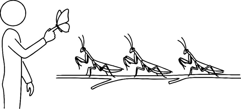 Person with butterfly on finger near praying mantises