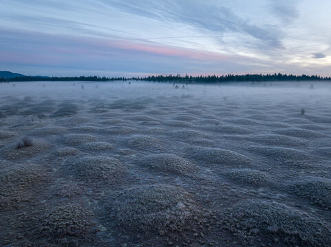 Aerial view of frost-covered earth mounds at Mima Mounds Natural Area Preserve under a misty dawn sky Olympia, Washington, United States.