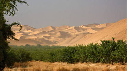 Fototapeta premium green oasis orchard with fruit trees and vegetable patches surrounded by high golden sand dunes in a traditional style illustration with soft lighting and a large clear sky for copy space oasis, 