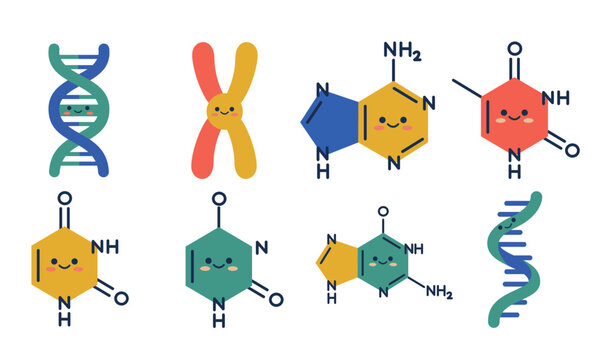 Genetic Material Cute Illustration Set, DNA RNA Chromosome Nucleotide Biology Vector
