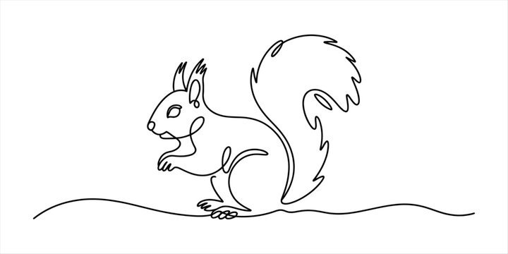 Minimalist continuous single line drawing of a cute squirrel sitting and looking forward representing simple wildlife art for modern home wall decor design Vector, illustration