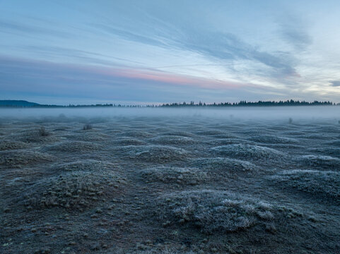 Aerial view of the unique geological formations at Mima Mounds Natural Area Preserve covered in morning mist under a soft dawn sky, Olympia, Washington, United States.