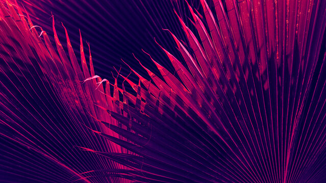 Abstract background of Tropical palm leaf texture with cyberpunk neon glow, Synthwave style botanical pattern with dark shadows.