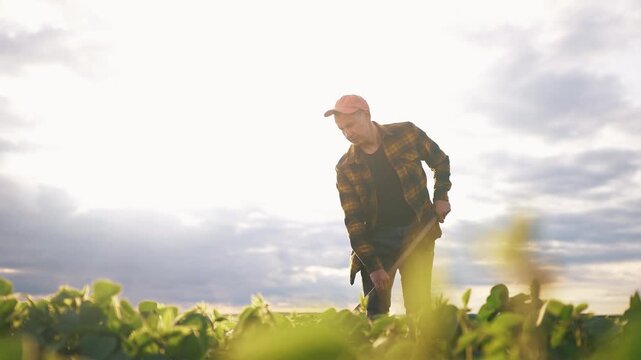 A man works in a field, digging into the soil. The man is surrounded by green plants under a cloudy sky, indicating a farming scene.
