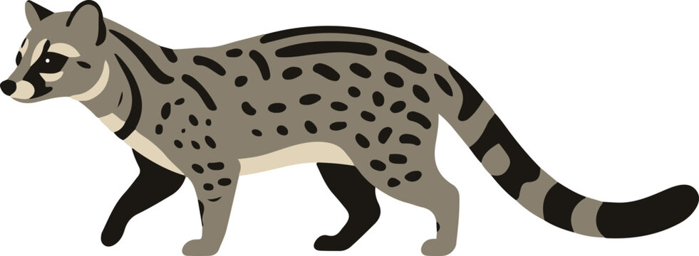 Civet cat vector illustration in flat cartoon style, featuring a spotted wild mammal with striped tail, suitable for wildlife, nature, and zoology-themed designs.