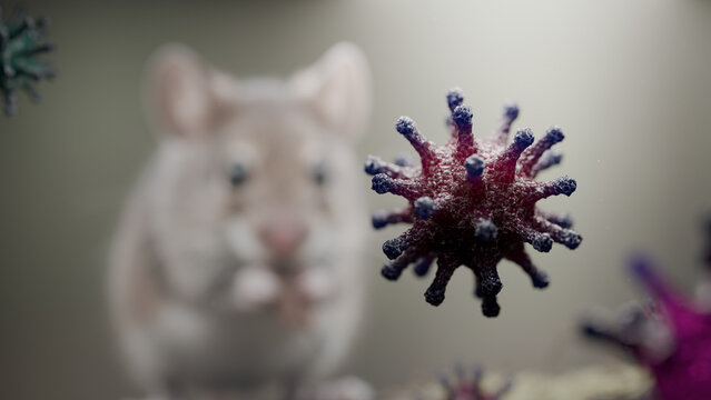 A colony of hantavirus under a microscope. Hantavirus against a background of rats and mice, viral disease, macro photo of the virus, microscopic 3D rendering of the virus.