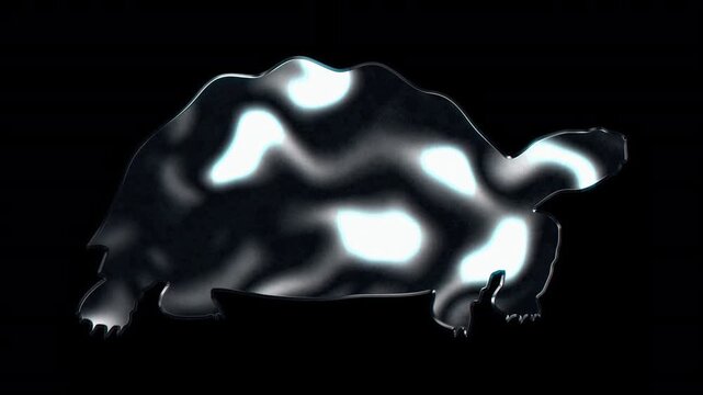 Silver metallic tortoise silhouette. Alpha channel. Seamless loop video