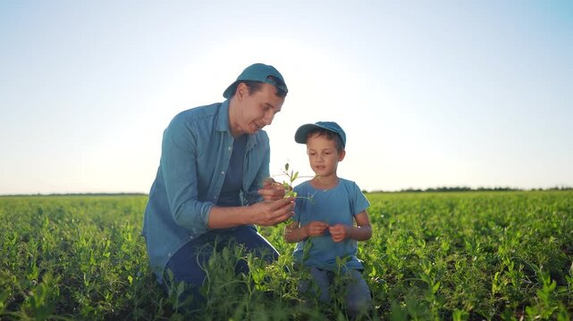Father and son in field. Father teaching his son how to plant field. Farmer kneeling on sandbank with a hat and a hat of agriculture. A father and his son in lifestyle a meadow.