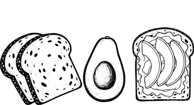 Hand-drawn black and white silhouette of sliced avocado toast and bread slices white background