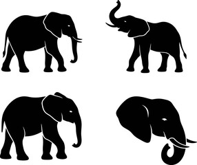Fototapeta premium Set of four black elephant silhouettes in different poses and positions