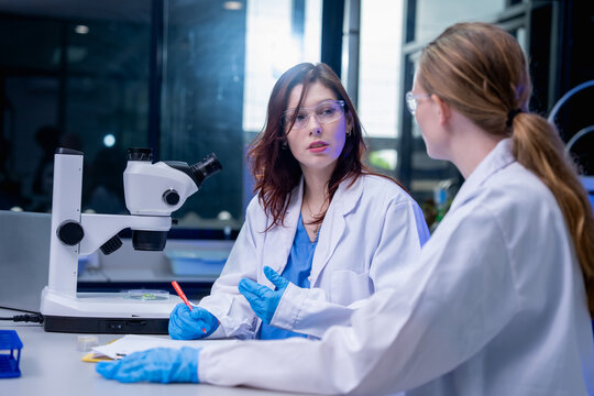 Laboratory collaboration scientists discuss research findings modern lab photography clinical environment close-up scientific inquiry