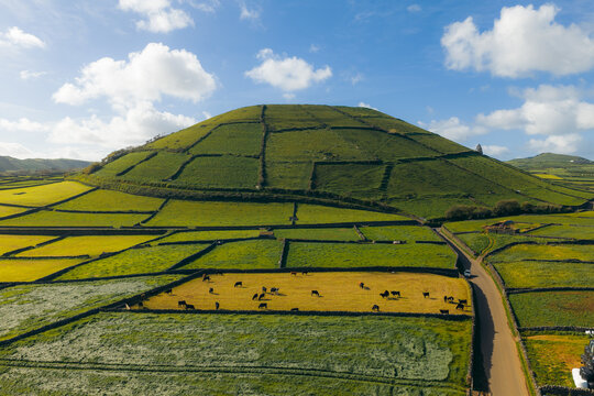 Aerial view of Pico Dona Joana volcanic cone with stone-walled pastures and grazing cows under a blue sky in Feteira, Acores, Portugal.