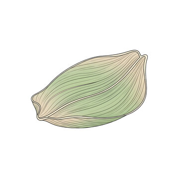 3D Isometric Botanical Flower Petal Logo Icon