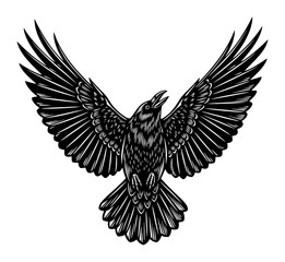 Fototapeta premium Crow Flying Upward Wings Spread Black and White Outline Line Art Drawing Vector Illustration Design
