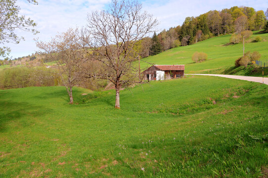 Petite cabane et son hangar au bord de la route