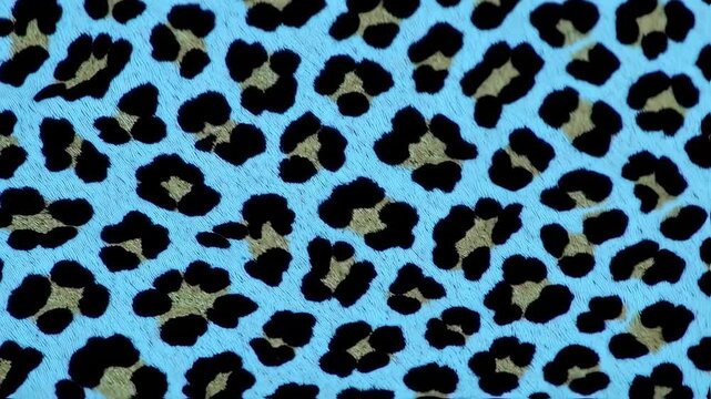 Leopard print pattern seamless repeating texture