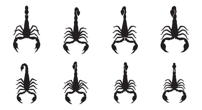 Scorpion silhouettes arranged in a grid against a white background symbolizing danger and desert wildlife rendered in graphic style