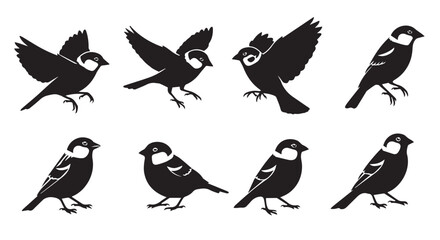Obraz premium Sparrow silhouettes in flight and perched against a white background for avian concepts