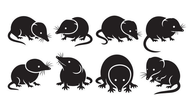 Small shrew silhouettes against a white background showcasing diverse poses and movements