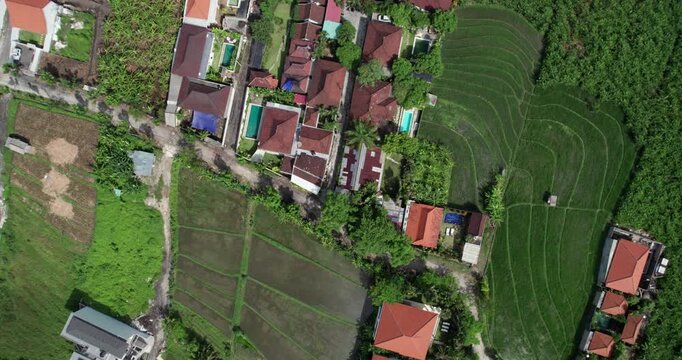 Bali faces challenges of development and overpopulation as green landscapes shrink and tourist demands rise