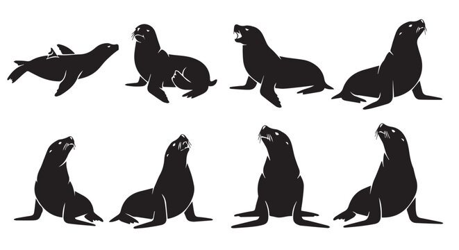 Various seal silhouettes against a white background with different poses and expressions for design