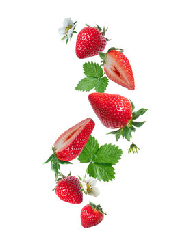 Ripe strawberries with leaves and flowers floating in the air on a transparent background
