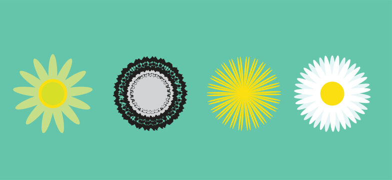 "Set of 4 Vector Flower Icons Daisy Sunflower Black White Yellow Floral Elements Isolated"