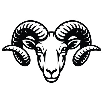 vector image of a sheep
