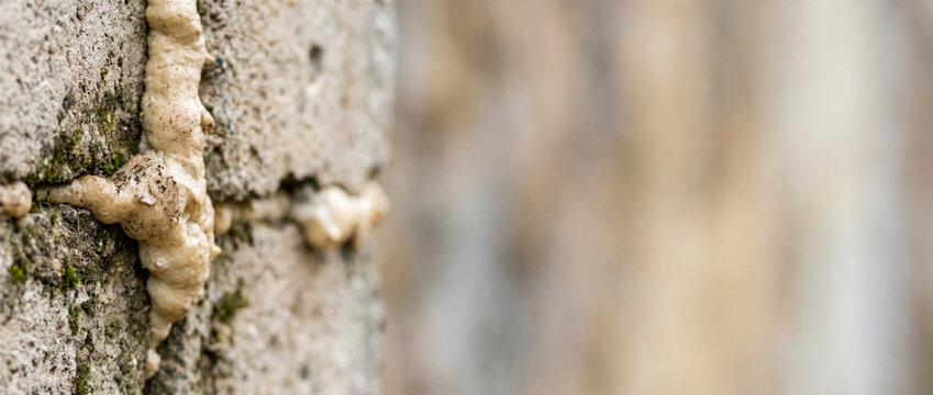 Close-up of concrete wall with insulation foam sealant applied to cracks, representing building repair and energy efficiency.