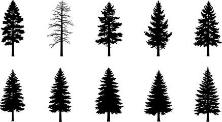 Evergreen tree silhouettes collection vector illustration graphics © PIXAVIVE