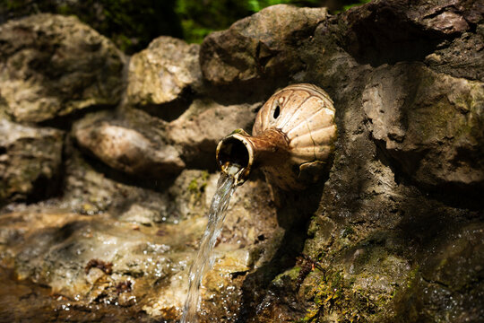 A waterfall in the forest flows from a jug.
