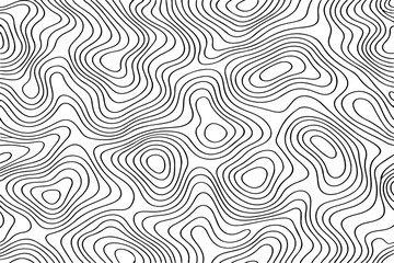 Fototapeta premium Abstract Black and White Topographic Map Featuring Intricate Contour Lines Minimalist Vector Illustration Design Inspired by Elevation, Terrain Mapping, and Geological Surface Patterns.