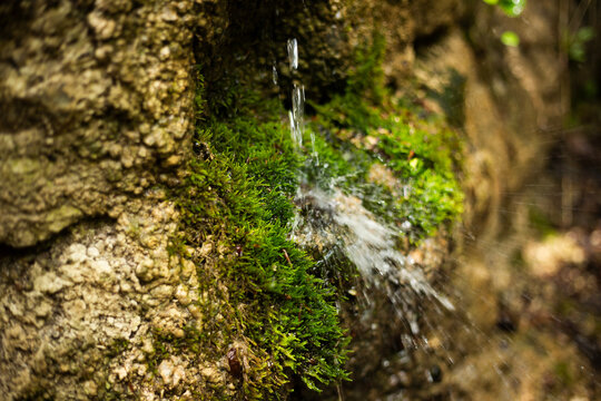 Water flows over stones and moss