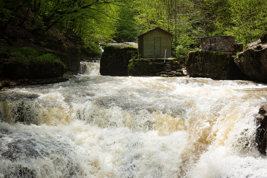 waterfall in the forest during the day
