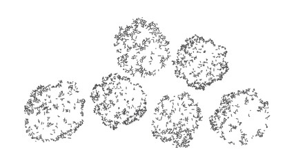 Obraz premium Detailed top view tree icons for architectural floor plan and landscape design layouts.