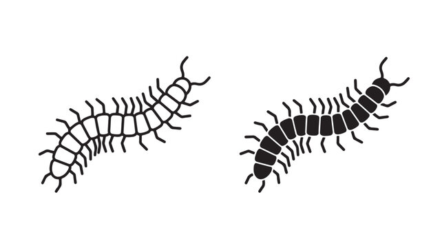 Centipede Insects Silhouette For Bug Wildlife Concepts