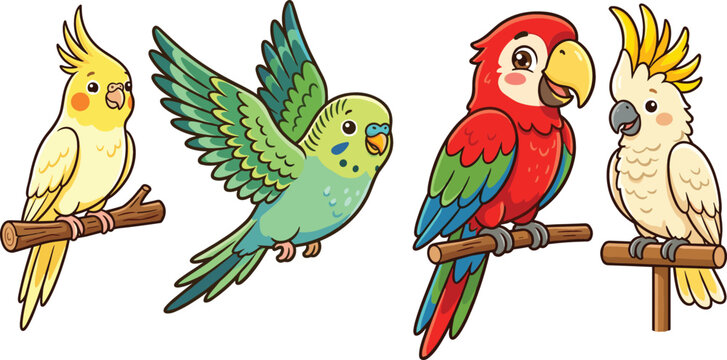Adorable exotic pet birds cartoon character collection with colorful green parakeet red scarlet macaw crest cockatiel and white cockatoo on wooden perches.