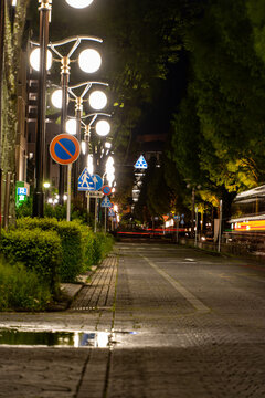 街路樹と街灯が並ぶ静かな都市の夜道風景
