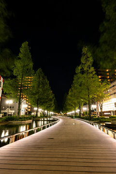 静岡県浜松市アクト通りの夜景と水辺遊歩道の美しい都市風景
