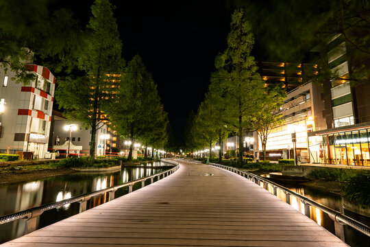 静岡県浜松市アクト通りの夜景と水辺遊歩道の美しい都市風景

