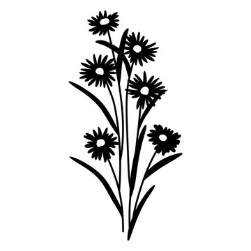 Elegant daisy bouquet illustration